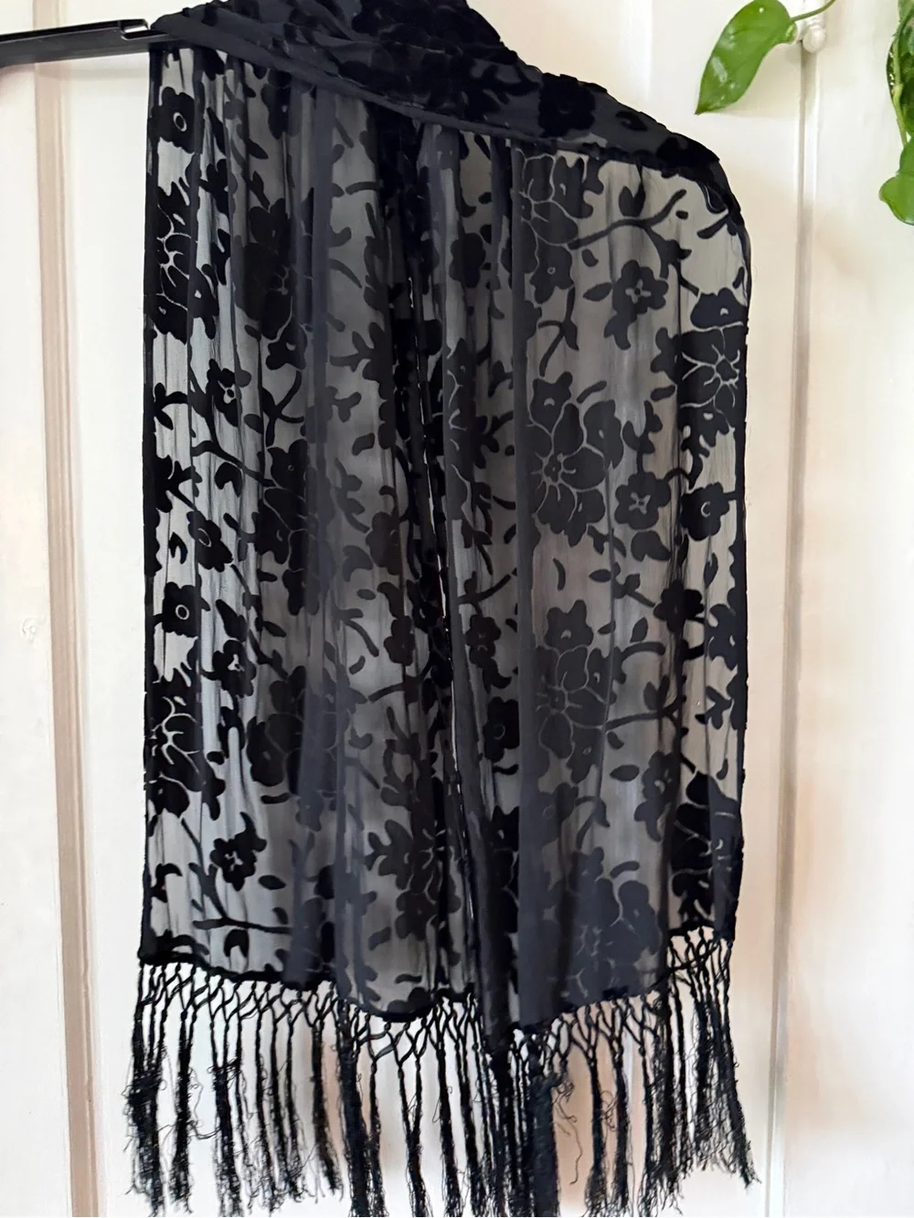 Echo Black Sheer Velvet Burnout Scarf with Fringe
